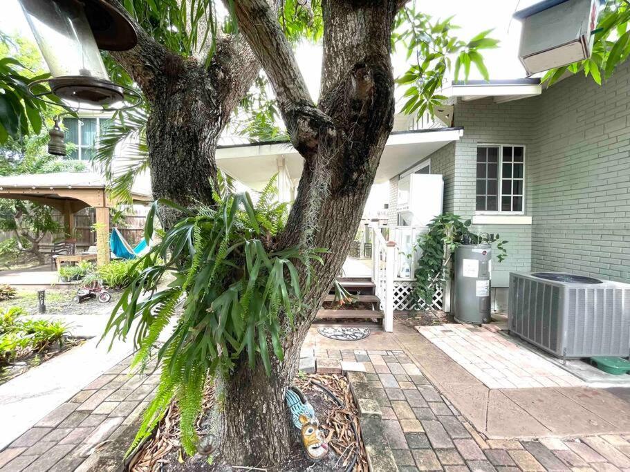 Independent Studio In Little Havana マイアミ エクステリア 写真