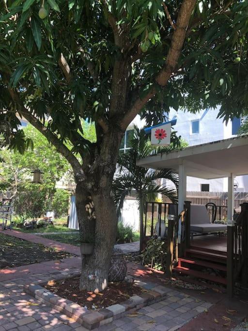 Independent Studio In Little Havana マイアミ エクステリア 写真