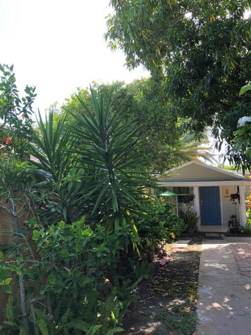 Independent Studio In Little Havana マイアミ エクステリア 写真